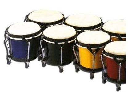 Bongo