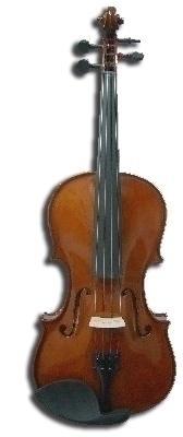 Viola